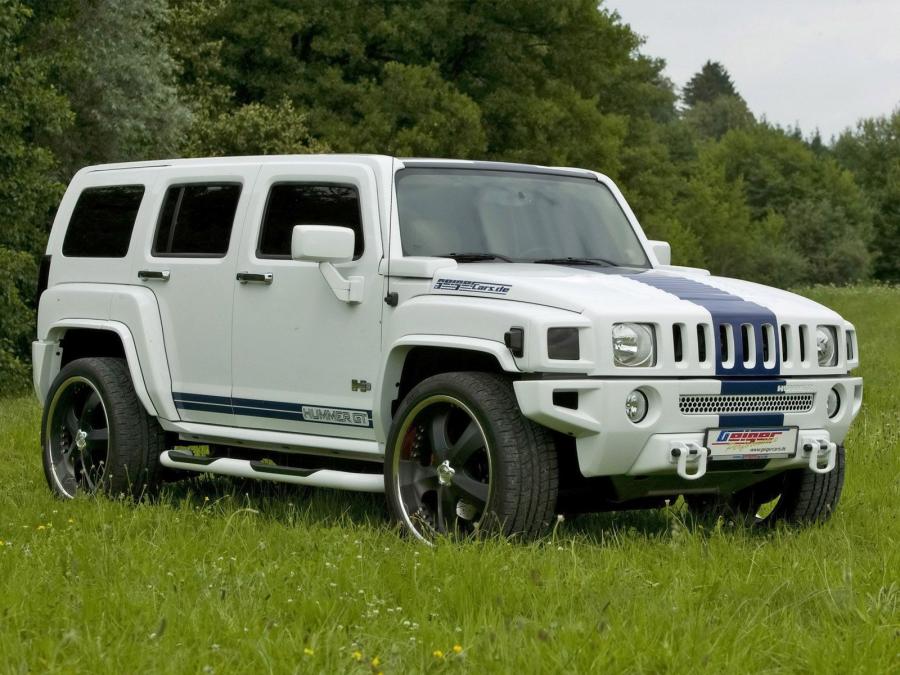  Hummer H3 GT by GeigerCars 2007 года  (фото 9 из 25)